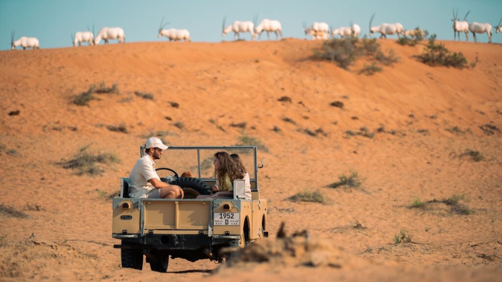 Dune Desert Safari Tour UAE -Dune Desert Tour