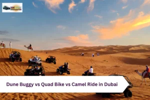 Dune Buggy vs Quad Bike vs Camel Ride in Dubai Which to Choose