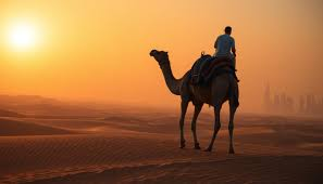 desert safari camel ride