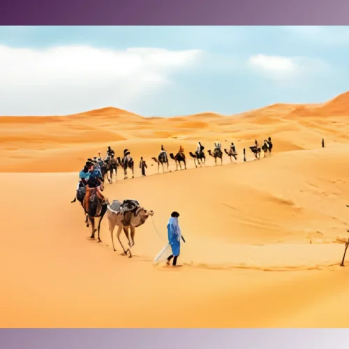 Classic Desert Safari camel ride with Dune Desert Tour