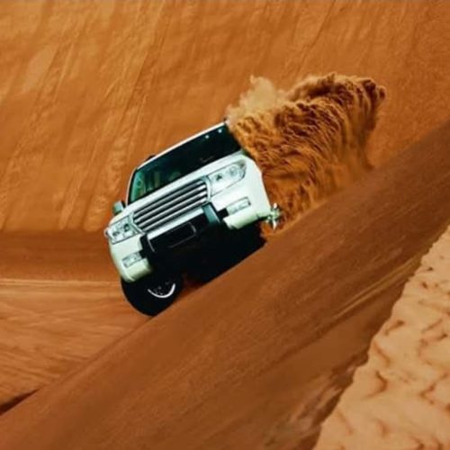 WhatsApp Image 2025-01-09 at 20.42.37_2865d04c